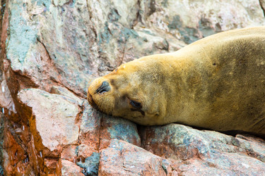 Similar image 8354384