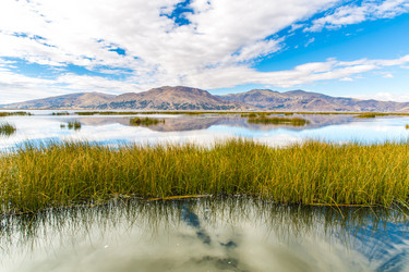 Similar image 8354393