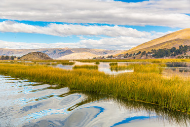 Similar image 8354401