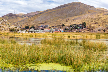 Similar image 8354404