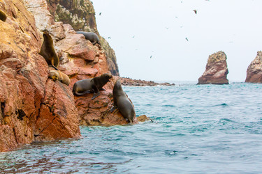 Similar image 8354412