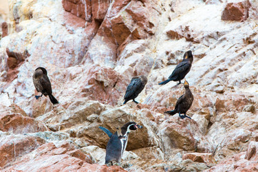 Similar image 8354416