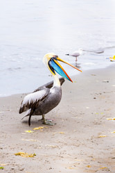 Similar image 8354419