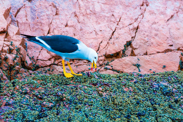 Similar image 8354422