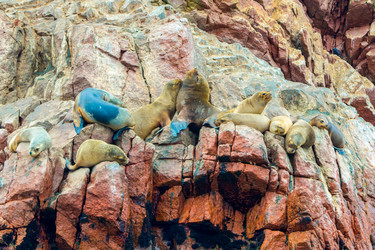 Similar image 8354423