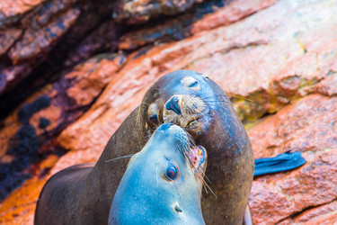 Similar image 8354424