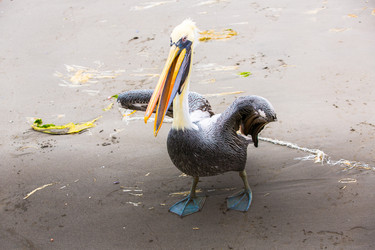 Similar image 8354428