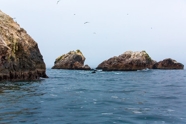 Similar image 8354429