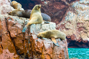 Similar image 8354432