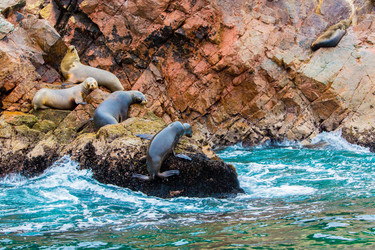 Similar image 8354436