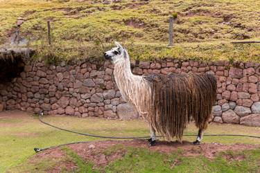 Similar image 8354440