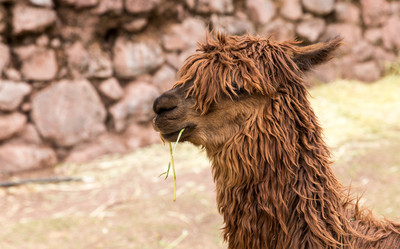 Similar image 8354441