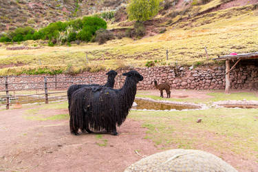 Similar image 8354442