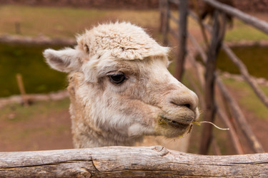 Similar image 8354446