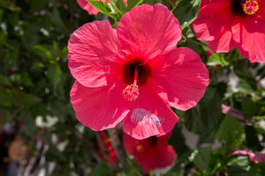 Similar image 8354456