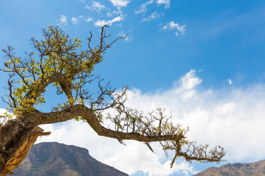 Similar image 8354458