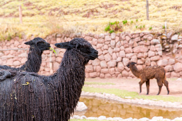 Similar image 8354479