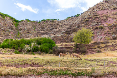 Similar image 8354489