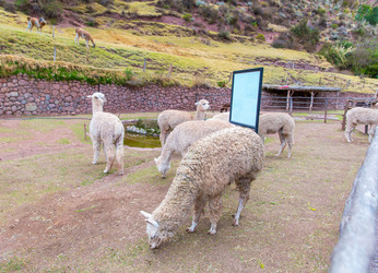 Similar image 8354491