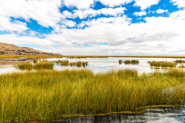 Similar image 8354494