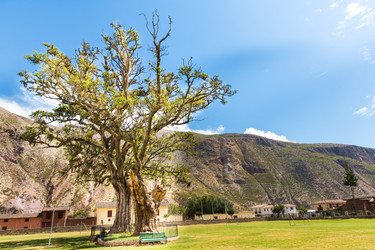 Similar image 8354507