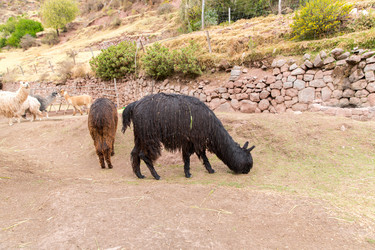 Similar image 8354521