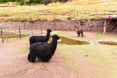 Similar image 8354522