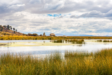 Similar image 8354523