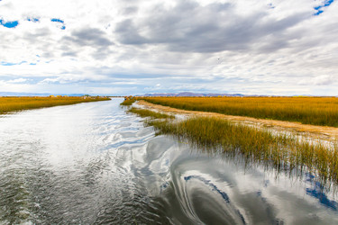 Similar image 8354524