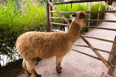 Similar image 8354527