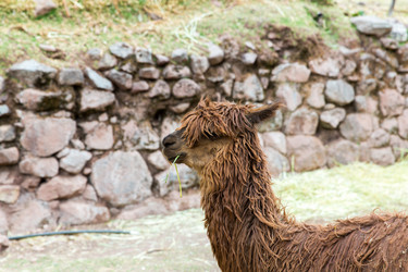 Similar image 8354528