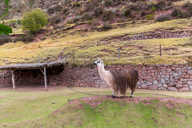 Similar image 8354530