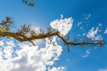 Similar image 8354535