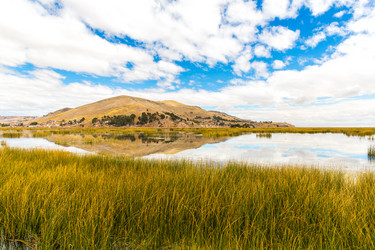 Similar image 8354540