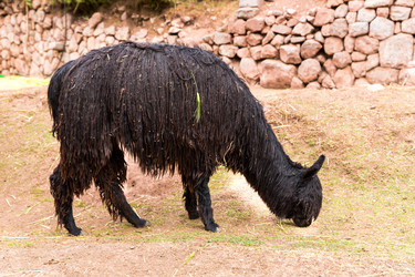 Similar image 8354546