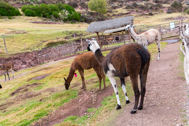 Similar image 8354549