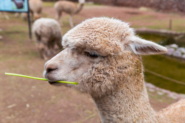 Similar image 8354551