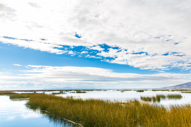 Similar image 8354560