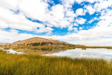 Similar image 8354562