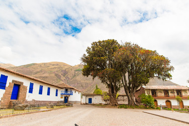 Similar image 8354571