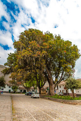 Similar image 8354572