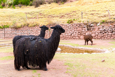 Similar image 8354583