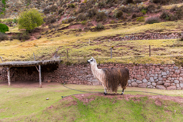 Similar image 8354605