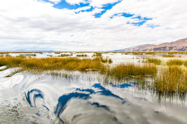 Similar image 8354641