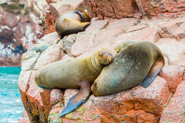 Similar image 8354650