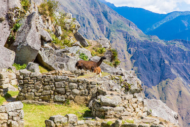 Similar image 8354660