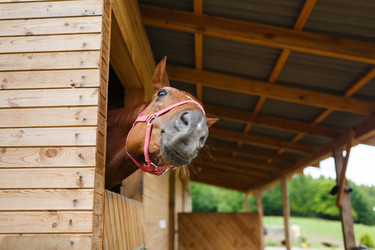 Similar image 8354685