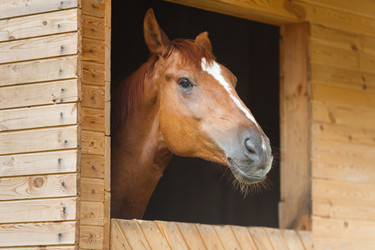 Similar image 8354686