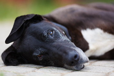 Similar image 8354688