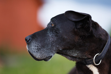 Similar image 8354689